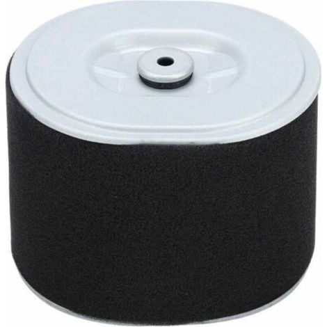 Filtre à Air Gx390 Filtre à Air Filtre à Air Af Ze28 Moteur Gx390 Pièces de Nettoyeur Haute Pression Gx390 294, Accessoire de Remplacement de Filtre à Air pour Tondeuse à Gazon pour Moteur Hond