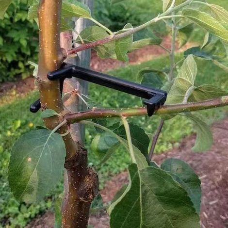 Neues Werkzeug zum Entfernen und Trennen von Ästen an Obstbäumen und Blumen. Dieses Werkzeug wird häufig zum Formen dieser Bäume verwendet. (1/4)