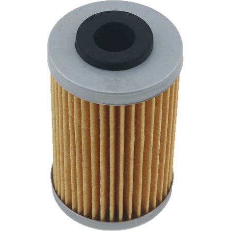 Élément de filtre à huile JG571014 compatible avec les modèles BAJAJ Pulsar NS200 et RS200 (1/5)