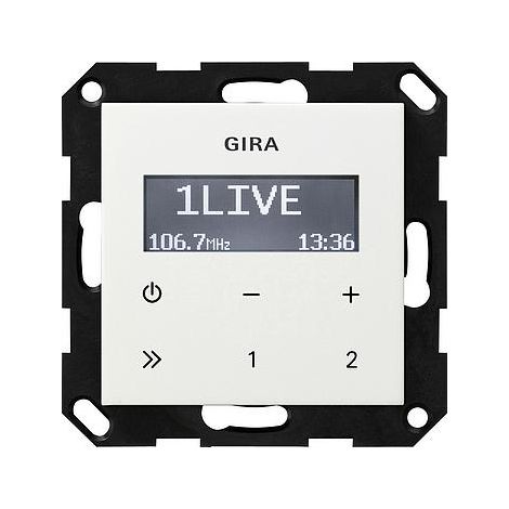 GIRA 228403 accessorio per unità di controllo centrale smart home