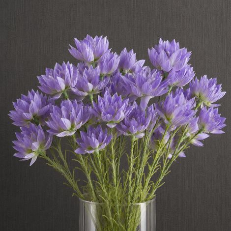 Pack of 6 x 60cm Purple Starflower Stem - 30 Flowers - Premium Quality (1/5)