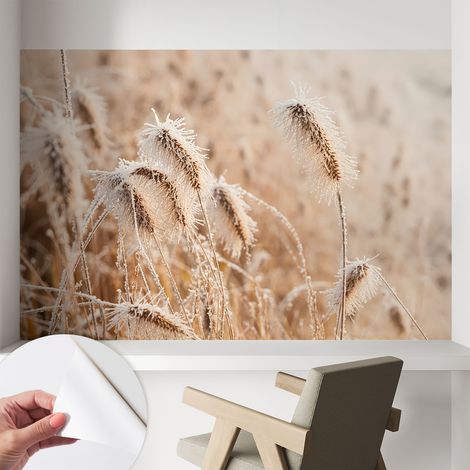 Carta da parati autoadesiva - fotomurale - decorazione parete - stile elegante - decorazione casa - Paesaggio invernale 104x70 cm (1/5)