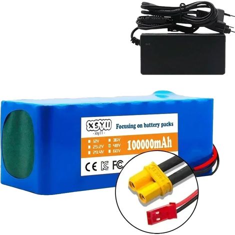 Batterie lithium-ion, capacité 100Ah, tension 48V, Chargeur JST XT30 (1/2)