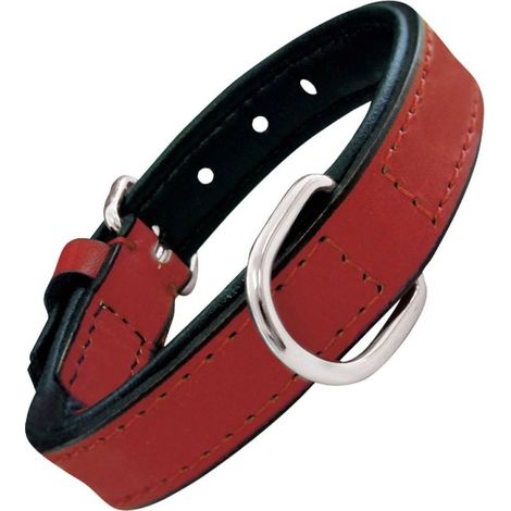 Collier pour Chien Gloria Rembourré Rouge (50 x 2,5 cm) (1/5)