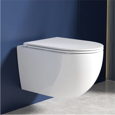 Rainsworth Wand-WC ohne Entsorgungsrand, Toilettenschüssel und geräuschlose Spülung, Toilettenschüssel und WC-Sitz mit automatischem Absenkmechanismus, weiß, Länge 48 cm. (1/5)