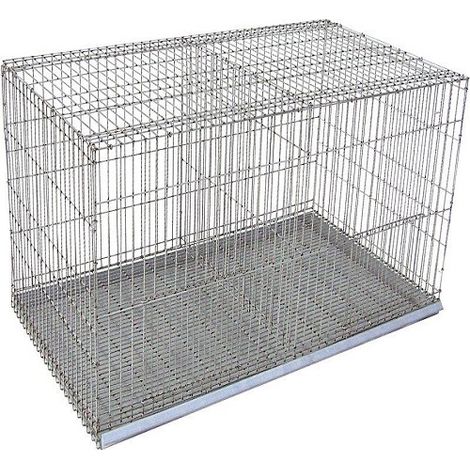 Cage d'exposition, 2 dpartements