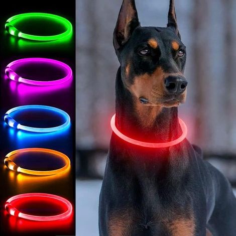 Filiyano-Collier lumineux LED pour animaux de compagnie - Harnais de sécurité rechargeable par USB - Ajustable et ajustable, trois modes d'éclairage (1/4)