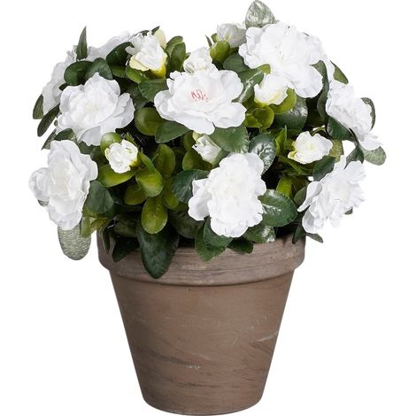 Mica Decorations Plante artificielle Blanc H31xl26xL26cm (1/5)