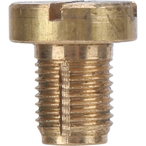 Vis de purge de vase d'expansion liquide de refroidissement avec joint, remplacement 17111712788, compatible BMW E46 E92 E90 E36 E39. (1/5)