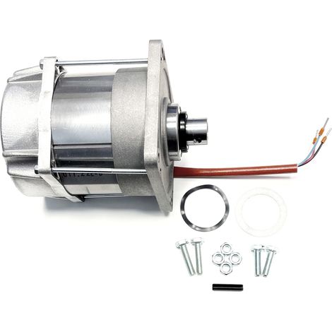 CAME 119RID087 Gruppo Motore Ferni 230V Ricambio ORIGINALE