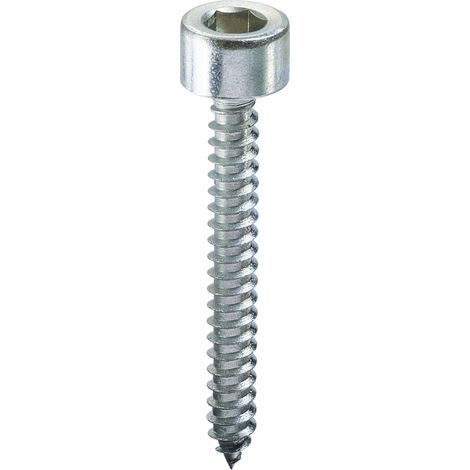 Ambrovit VITE AUTOFILETTANTE TC CON ESAGONO INCASSATO  mm. 5,5x50 2.00 centinaia