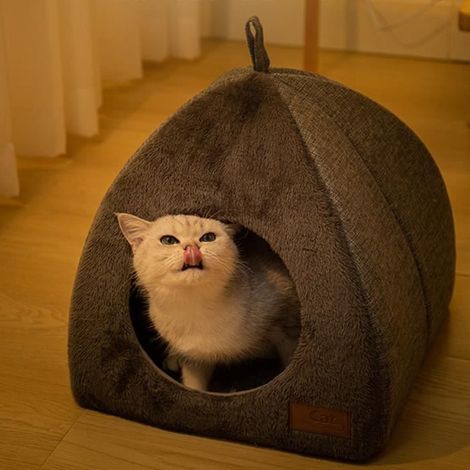 Niche Chat Interieur, Niche Chat Interieur, Lit Animaux Compagnie Tente Chat, Lit Chat D'intérieur, Lit Igloo Chat, L (1/4)
