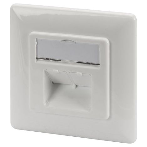 Prise murale digitus cat6a classe ea blindée 2xrj45 encastrable white.