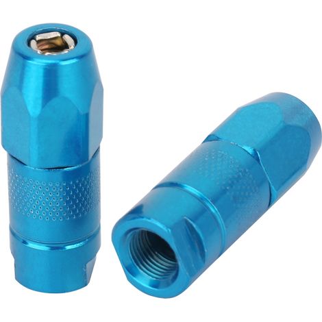 2 embouts plats de rechange pour pistolet à graisse, accessoires de lubrification (bleu) (1/5)