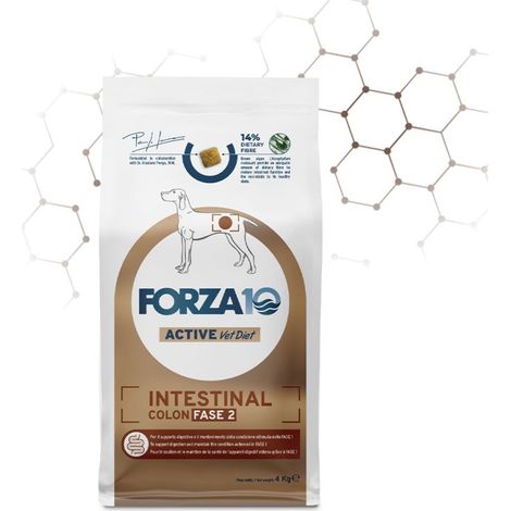 Forza10 Cane Veterinary Intestinal Colon Fase 2 4 kg