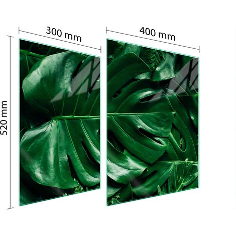PIASTRA PROTETTIVA IN VETRO PER STUFA 70x52 MONSTERA (1/5)