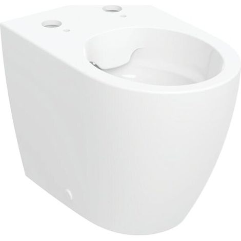 Geberit 244192111 WC sur pied à chasse à faible niveau T : 56 cm (1/5)