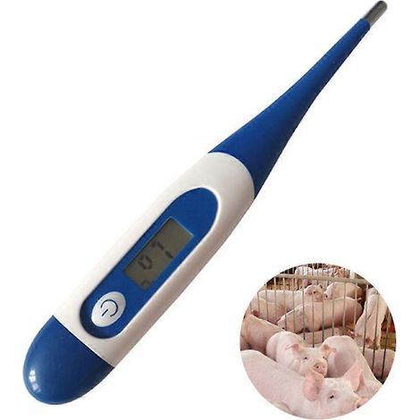 Thermomètre électronique à embout souple pour animaux - Confortable et facile à utiliser (1/4)