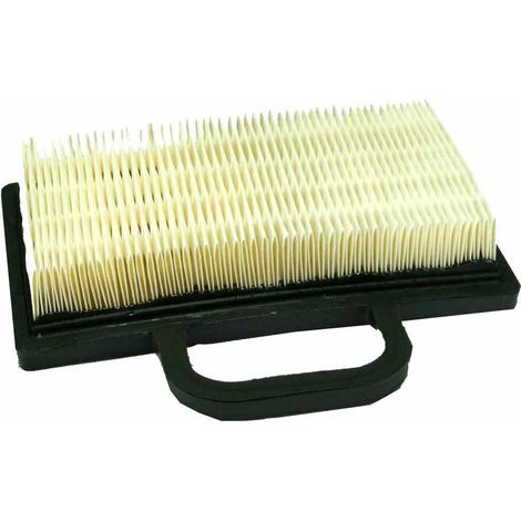 Filtro aria 310114 per trattorino rasaerba con Motore B&S