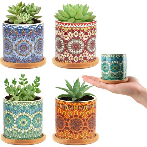 Lot de 4 petits pots de plantes succulentes avec plateau en bambou de 7,3 cm pour décoration intérieure, mini plantes et semis (1/5)