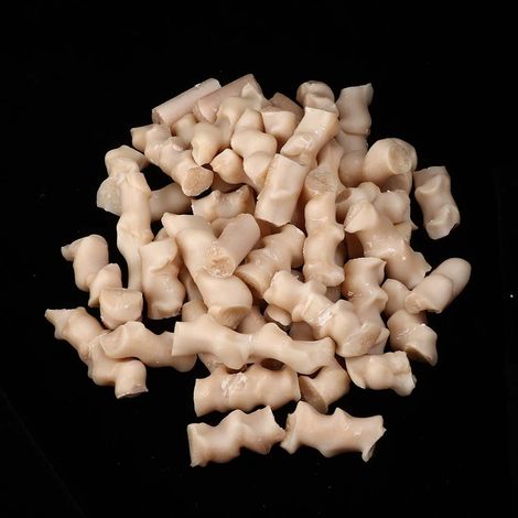 Filtre biologique biodégradable NP pour aquarium, eau de mer, grosses particules, en forme d'os. (1/5)