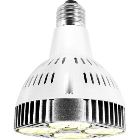 E27 Plante Lampe Ampoule 35W LED éLèVent la LumièRe Blanche Chaude pour Serre de Jardin IntéRieur
