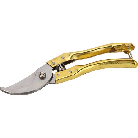 Secateur a rochet acier carbone intensif ergonomique maniable economie effort jardinage (1/5)