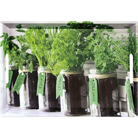 Vassoio decorativo per erbe aromatiche con manici, 50x35x4,5 cm