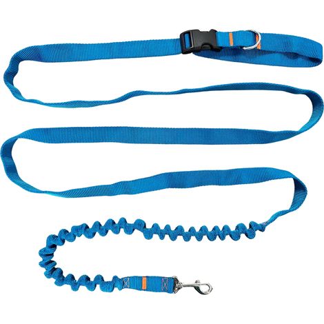 Guinzaglio per cani con ammortizzatore 380 cm TURCHESE Regolabile a mani libere Prodotto in Polonia (1/5)
