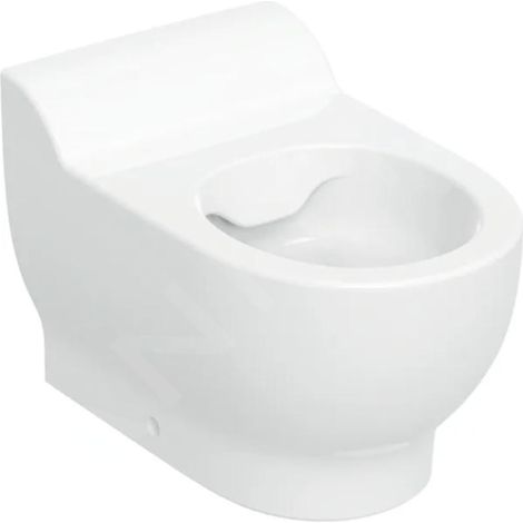 Geberit Bambini - WC à poser, pour enfants, Rimfree, blanc 502.966.00.2 (1/3)