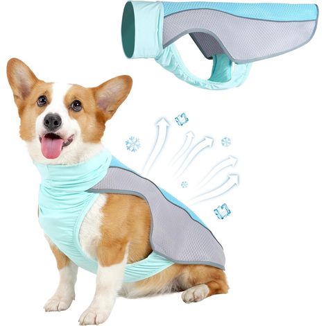 Gilet rinfrescante estivo per cani - Maglietta traspirante in rete - Pettorina anti-calore - Adatta per passeggiate ed escursioni con clima caldo - Blu Taglia S (1/5)