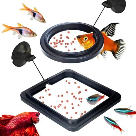 Anneau de Nourriture pour Poissons, 2 pièces Distributeur de Nourriture pour Poissons Aquarium réservoir Accessoires Tortue Distributeur de Nourriture Cercle pour Guppy, bettas (Noir)