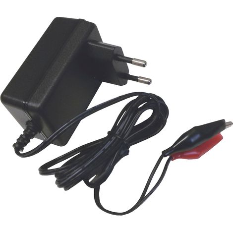 Caricabatterie per batterie al piombo ermetiche 12V 2A con connettori a coccodrillo