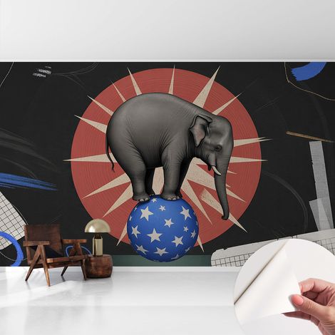 Papier peint autocollant avec imprimé pour cuisine facile à appliquer pour mur a motif Éléphant de cirque 416x254 cm (1/5)