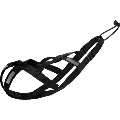 1 Harnais Chien Nylon Noir M Pour Canicross Bikejöring Skijöring Scootering Entraînement Traction (1/5)
