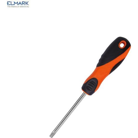 CACCIAVITE TORX T15X100MM