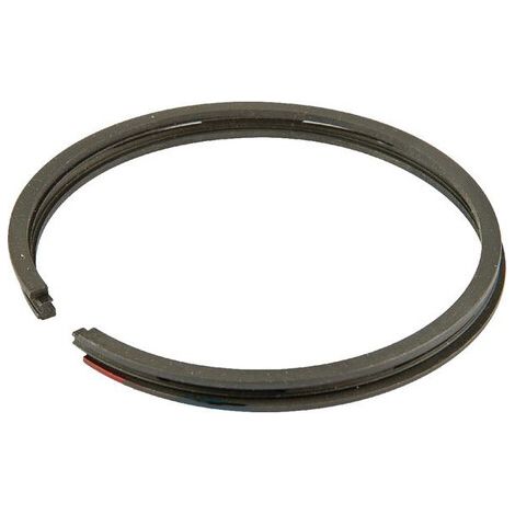 Set segmenti standard BRIGGS ET STRATTON 499604