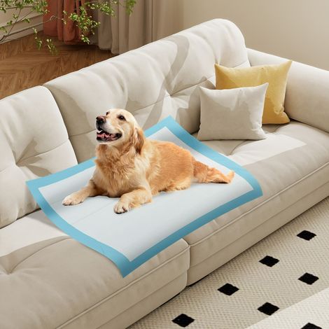 Tapis d'Apprentissage pour Chiens et Chiots 80 x 80 CM (300 Unités) Tapis pour Animaux de Compagnie à 6 Couches à l'Épreuve des Fuites Bleu (1/5)