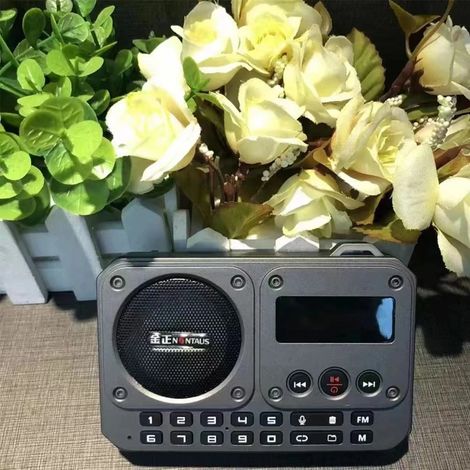 Mini radio FM portable, radio multifonctionnelle, enceinte Bluetooth et enregistreur avec affichage LED, changement de dossier, fonctions de lecture sur carte TF et clé USB. (1/5)