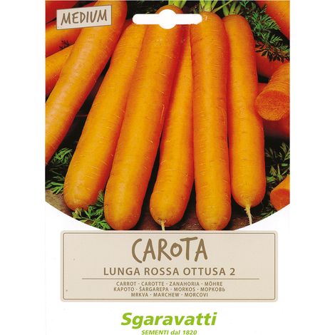 SEMI PER ORTAGGI E VEGETALI carota lunga ottusa Q.TA 20 carota lunga ottusa