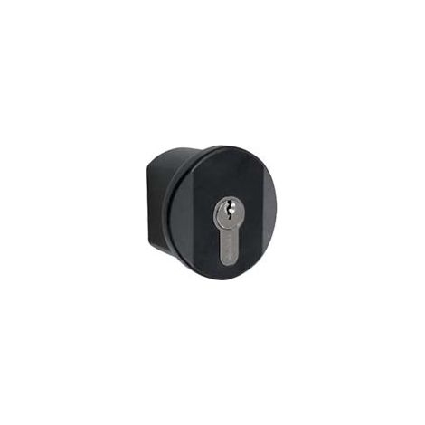 Pomolo per Maniglioni Antipanico Fast e Prestige 07078380 (07078350) Cisa