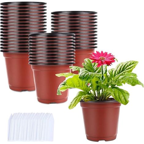 250 Pièces Pots de Fleurs Pot semis en Plastique Interieur Pot Plastique Plante pour Semis Boutures, Fleurs, Succulentes (1/5)