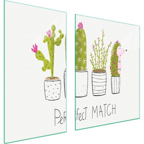 Plaque de protection en verre pour poêle cactus 90x52 (1/5)