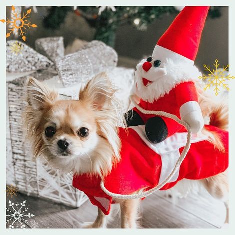 1-teiliges Weihnachtskostüm zum Reiten, Verwandlungskostüm für Haustiere, Partykostüm, Cosplay, Weihnachtskostüm für Hunde, Weihnachtsmannkostüm (Größe: L) (1/3)