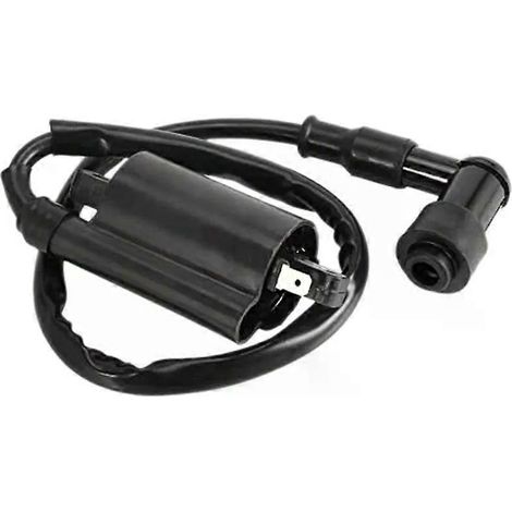 Zündspulen für Motorräder, passend für Yamaha GS125, GN125, VX250, Virago 1100, XV1100, XV-1100 (1995–2007), JXLGV (1/4)