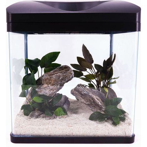 Nano Aquarium Laguna in schwarz Komplettaquarium +LED Beleuchtung +Filteranlage