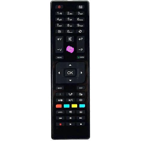 TV-Fernbedienung RC-4875 RC4875 Ersatzteil für TECHWOOD TV (1/5)