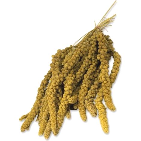 LoLo Pets BASIC Millet 100g miglio giallo in spighe (1/3)