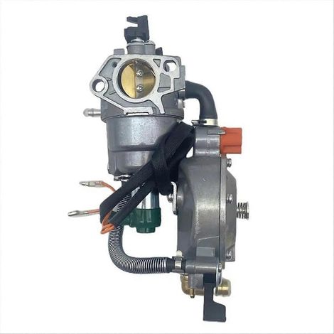 58 kW LPG/CNG-Generator mit verbessertem Doppelvergaser für GX390 (1/5)
