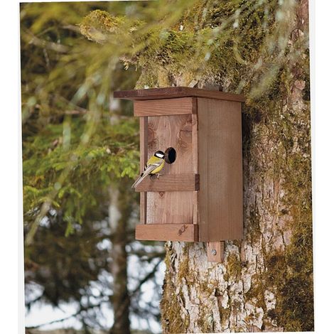 Nichoir à oiseaux en bois massif verni – Accrochage facile – Dimensions 24.5 cm hauteur, 17 cm profondeur – Trou de 28 mm pour petits oiseaux – Windhager